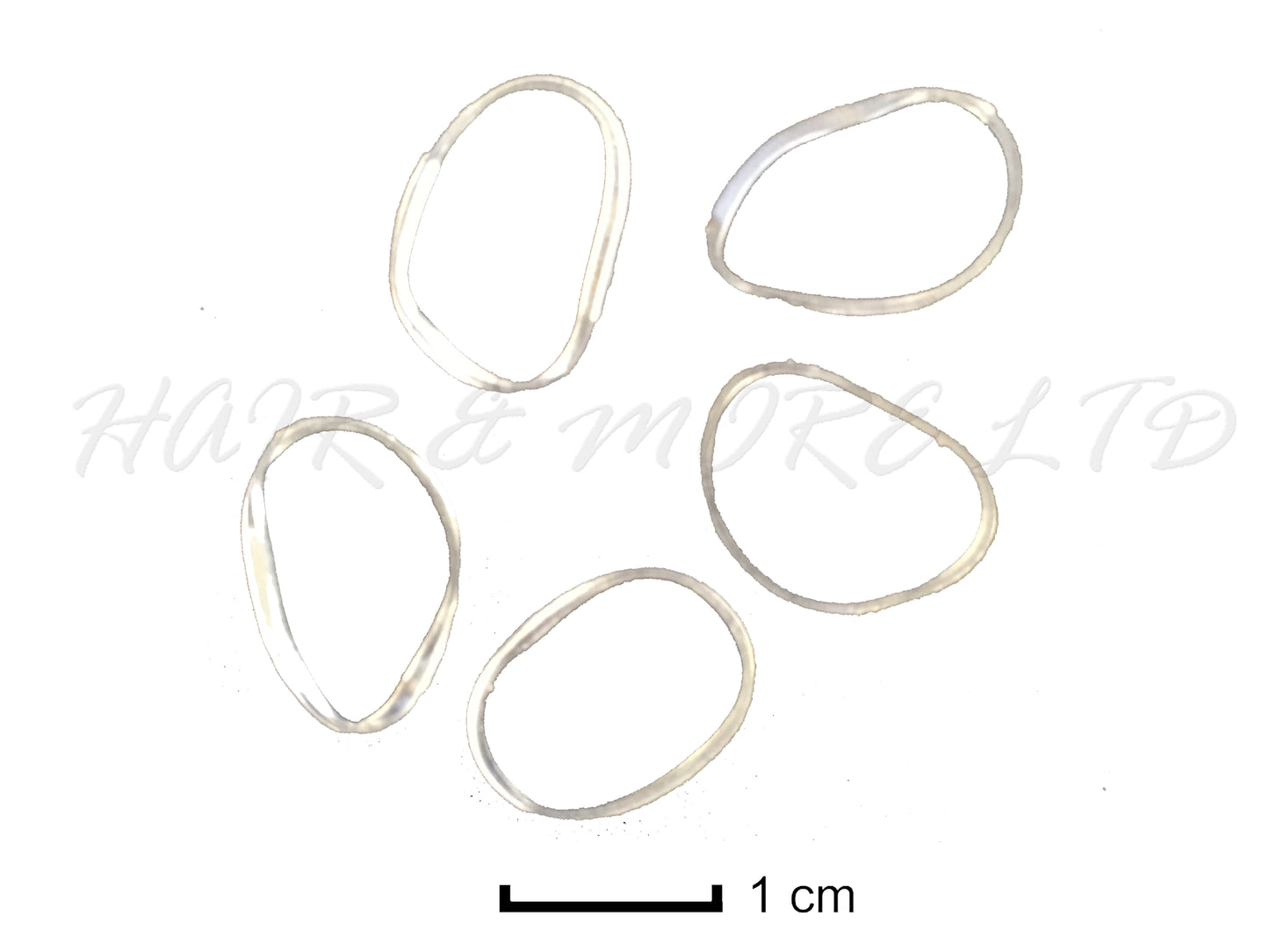 Diane Bulk Hairdressing Clear Elastic Hair Bands - 500 Pack