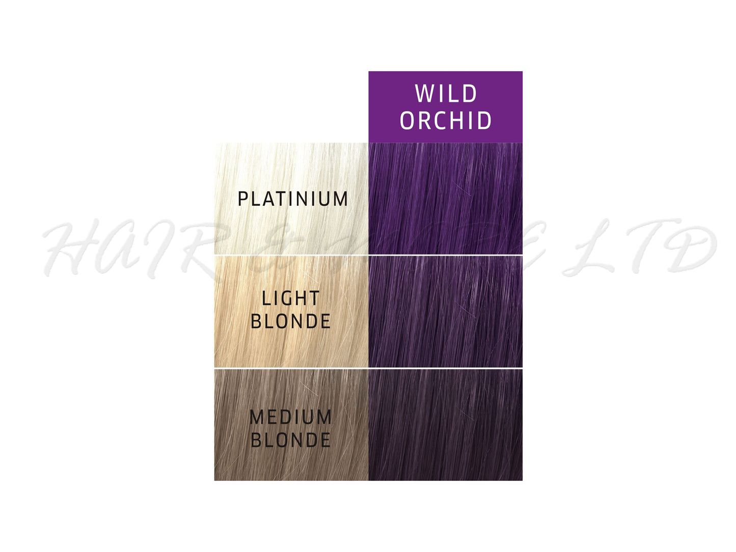 Wella Paints Semi-Permanent Hair Colour - Wild Orchid 57g