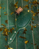 Framar Cheers Haters Detangle Brush - Emerald City