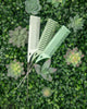 Framar Plant Mom Dreamweaver Comb Set
