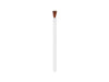 FantaSea Disposable Lip Brushes, 25pcs