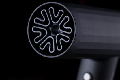 JRL 2020H Forte Pro Hair Dryer - Onyx Black