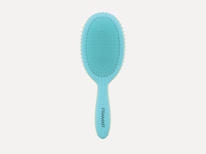 Framar Baecation Detangle Brush - Aqua