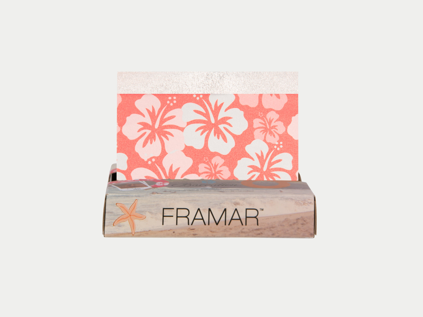 Framar Baecation Colorist Kit