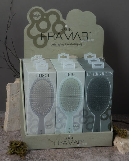 Framar Neutrals Sage 9pc Detangle Brush Retail Display