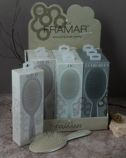 Framar Neutrals Sage 9pc Detangle Brush Retail Display