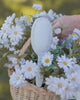 Framar Garden Party Detangle Brush - Blossom (Limited Edition)