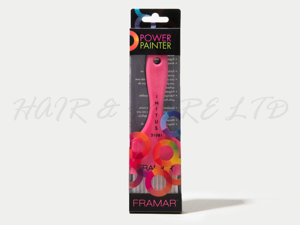 Framar Power Painter Hair Colour Brush - 2 Pack