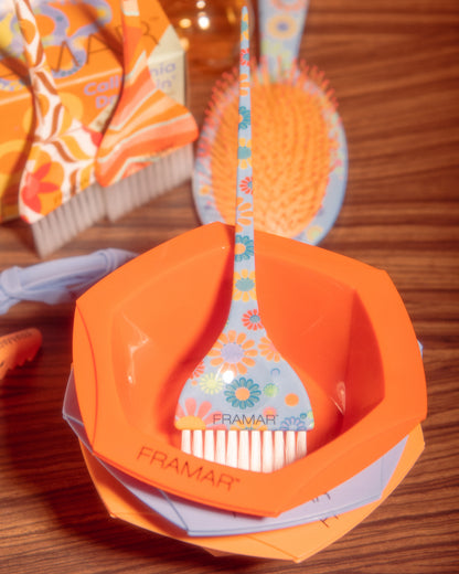 Framar California Dreamin' Colourist Kit